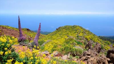 La Palma - geführte Trekkingtour zum El Roque de los Muchachos